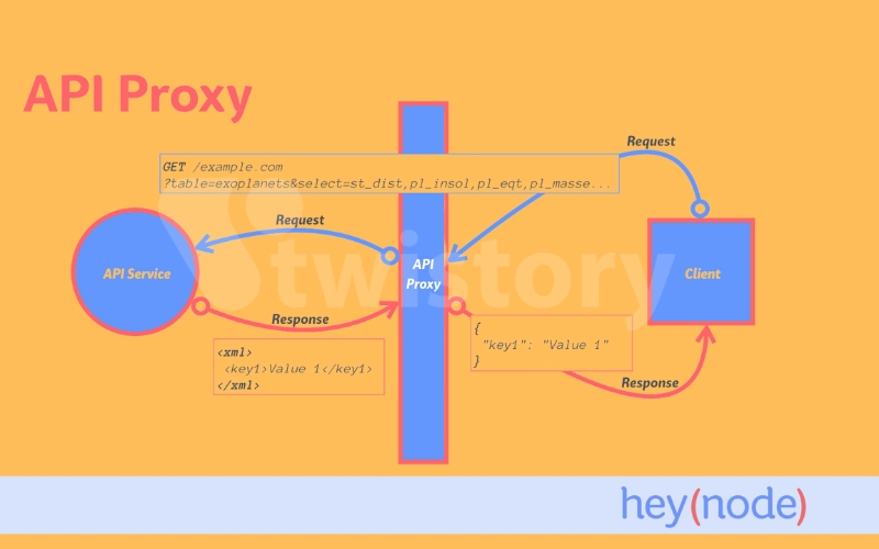 What is an API Proxies?