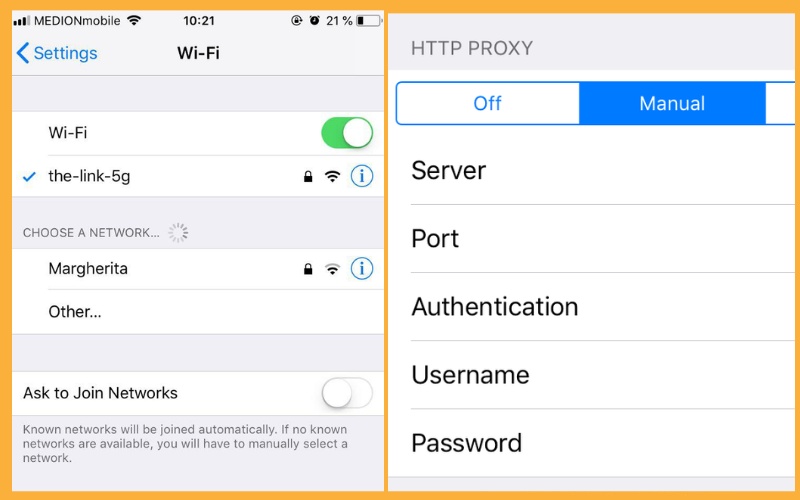 iOS Proxy Setup 1