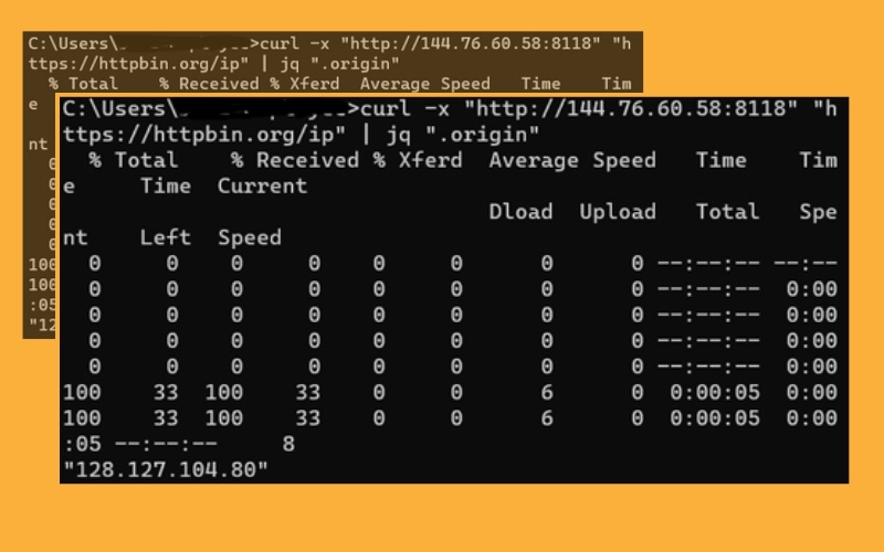 Data Extraction Techniques with cURL and Proxy