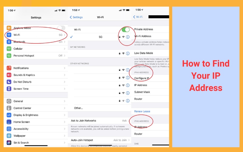 How to Find Your IP Address